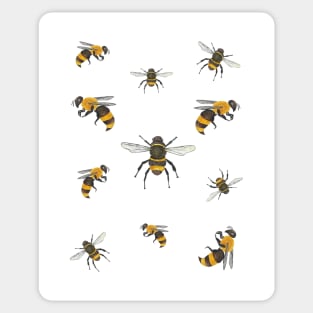 Watercolor honey bees design Sticker